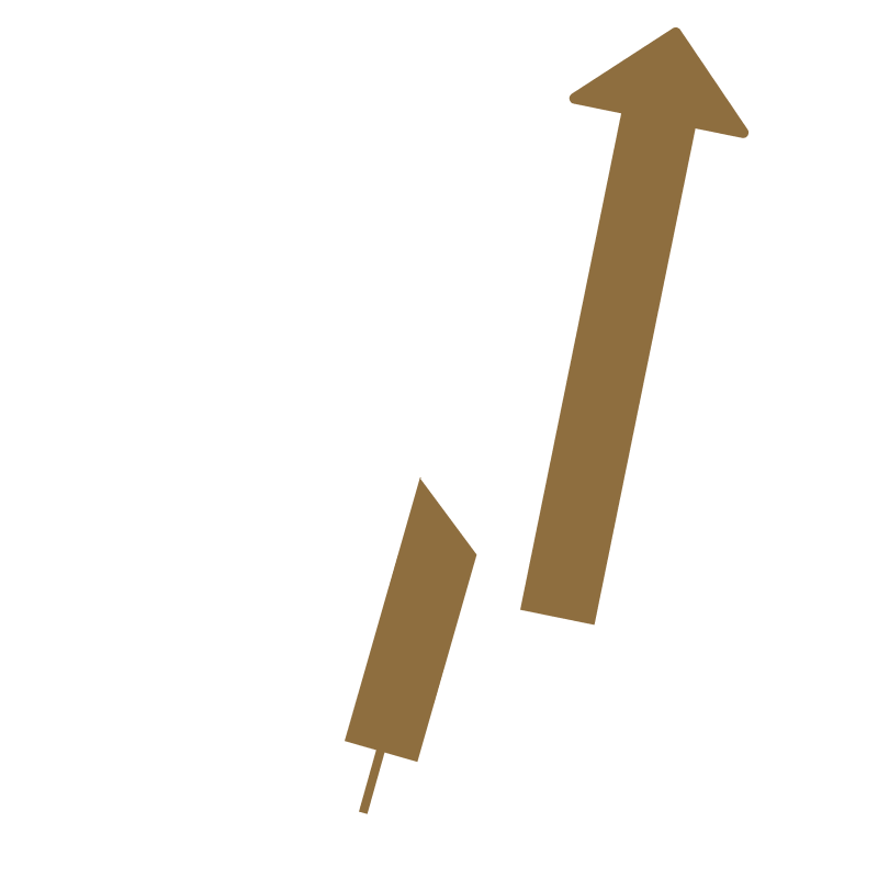 Lucid Trading Course